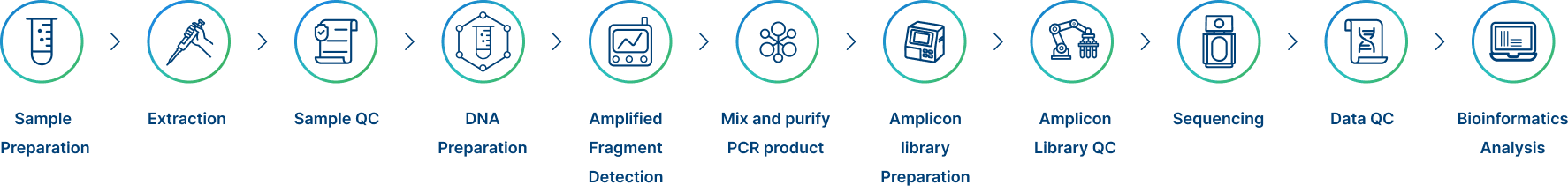 Project Workflow