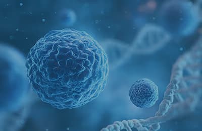 Single Cell Sequencing