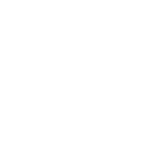 Proven Experience Across Diverse Projects