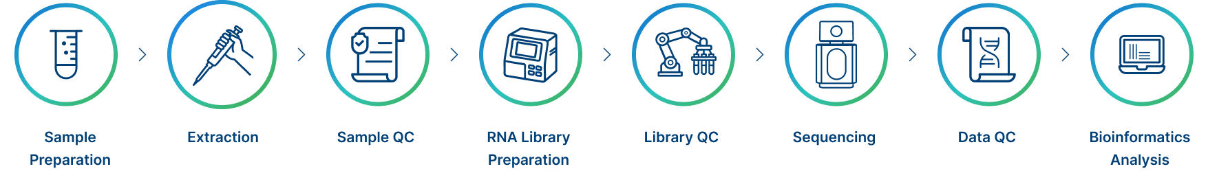 Novogene Prokaryotic RNA-seq Workflow