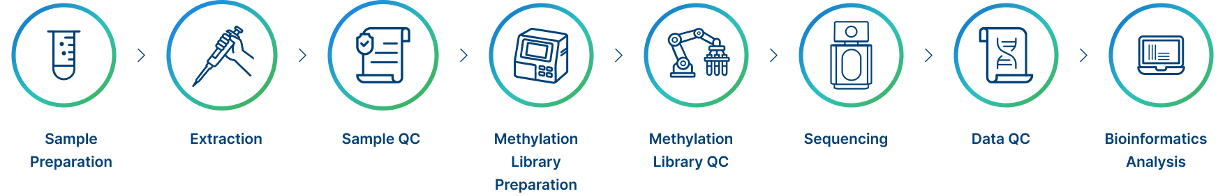 Project Workflow of Novogene’s RRBS Service